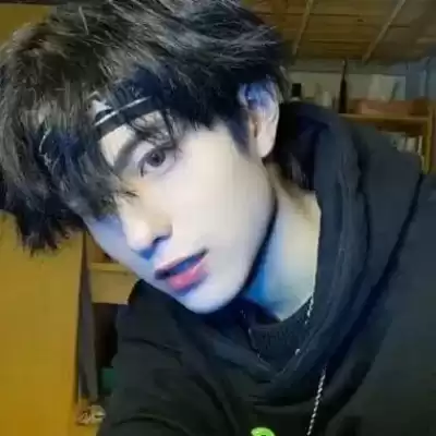 公凡梦